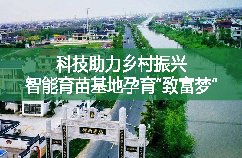 科技助力鄉村振興 智能育苗基地孕育“致富夢”