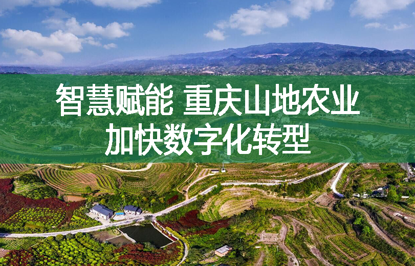 智慧賦能 重慶山地農(nóng)業(yè)加快數(shù)字化轉(zhuǎn)型