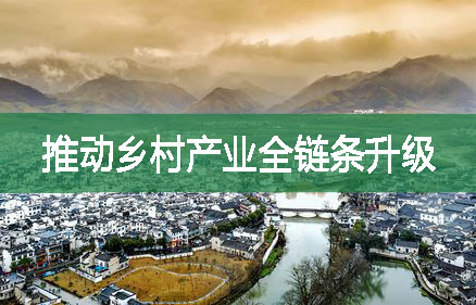 推動鄉(xiāng)村產(chǎn)業(yè)全鏈條升級