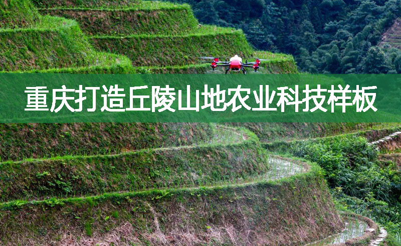 重慶打造丘陵山地農(nóng)業(yè)科技樣板