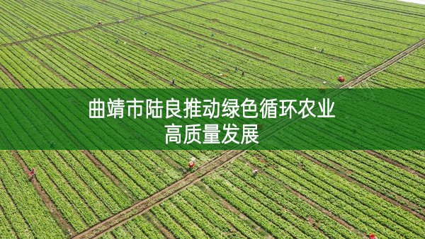 曲靖市陸良推動(dòng)綠色循環(huán)農(nóng)業(yè)高質(zhì)量發(fā)展