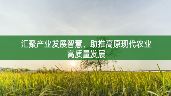 匯聚產(chǎn)業(yè)發(fā)展智慧 助推高原現(xiàn)代農(nóng)業(yè)高質(zhì)量發(fā)展