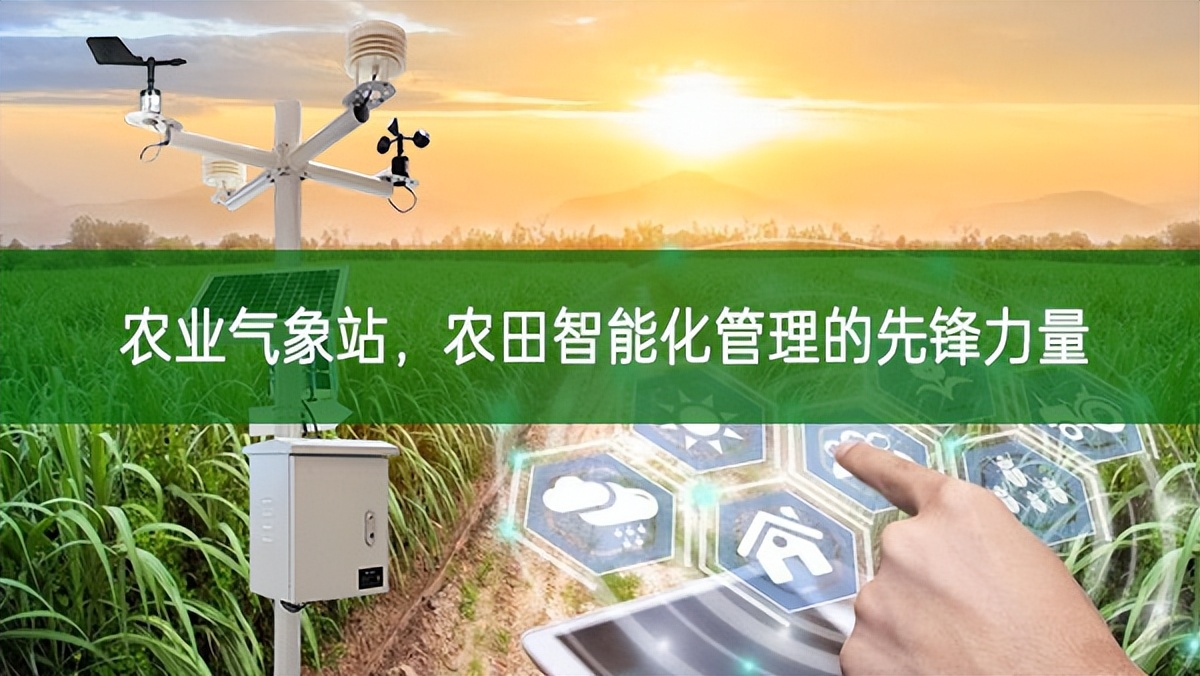 農(nóng)業(yè)氣象站，農(nóng)田智能化管理的先鋒力量