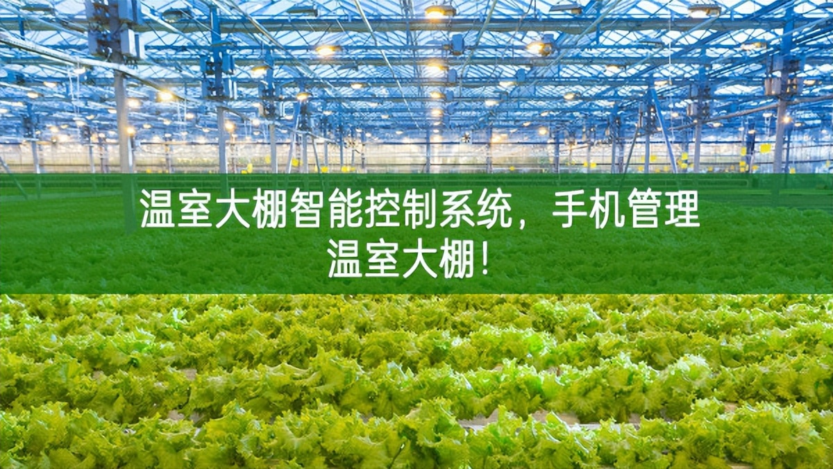 溫室大棚智能控制系統(tǒng)，手機管理溫室大棚!
