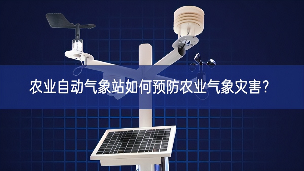 農業(yè)自動氣象站如何預防農業(yè)氣象災害?