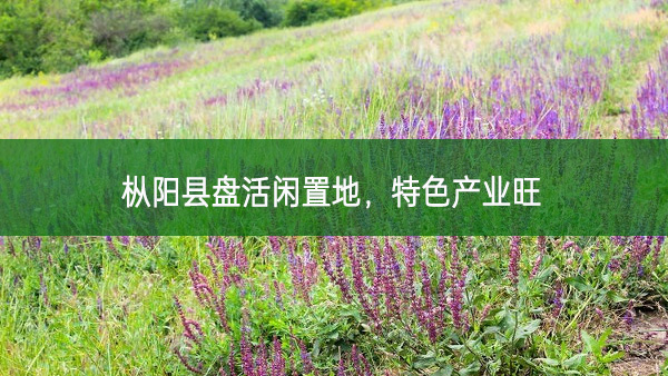 樅陽縣盤活閑置地，特色產業旺