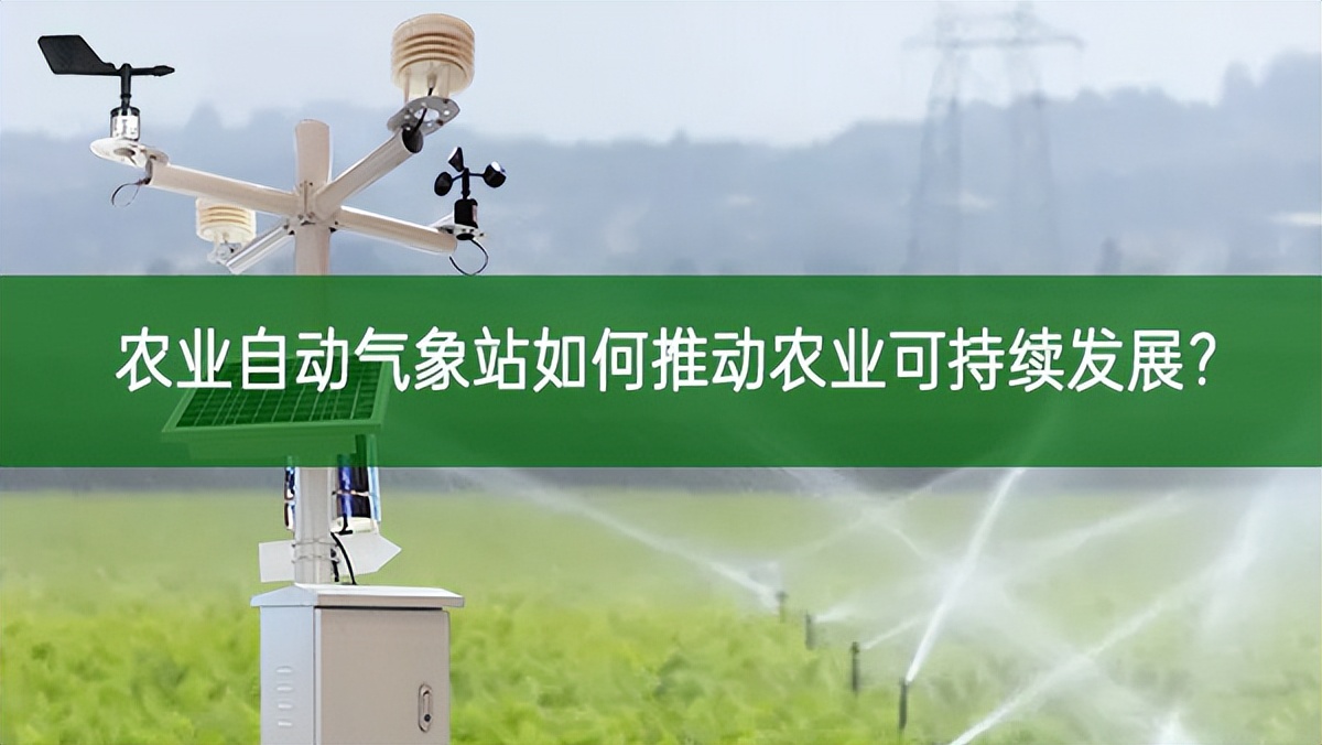 農(nóng)業(yè)自動氣象站如何推動農(nóng)業(yè)可持續(xù)發(fā)展?