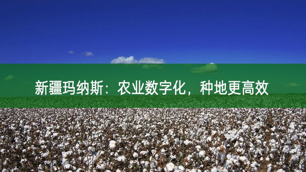 新疆瑪納斯：農(nóng)業(yè)數(shù)字化，種地更高效