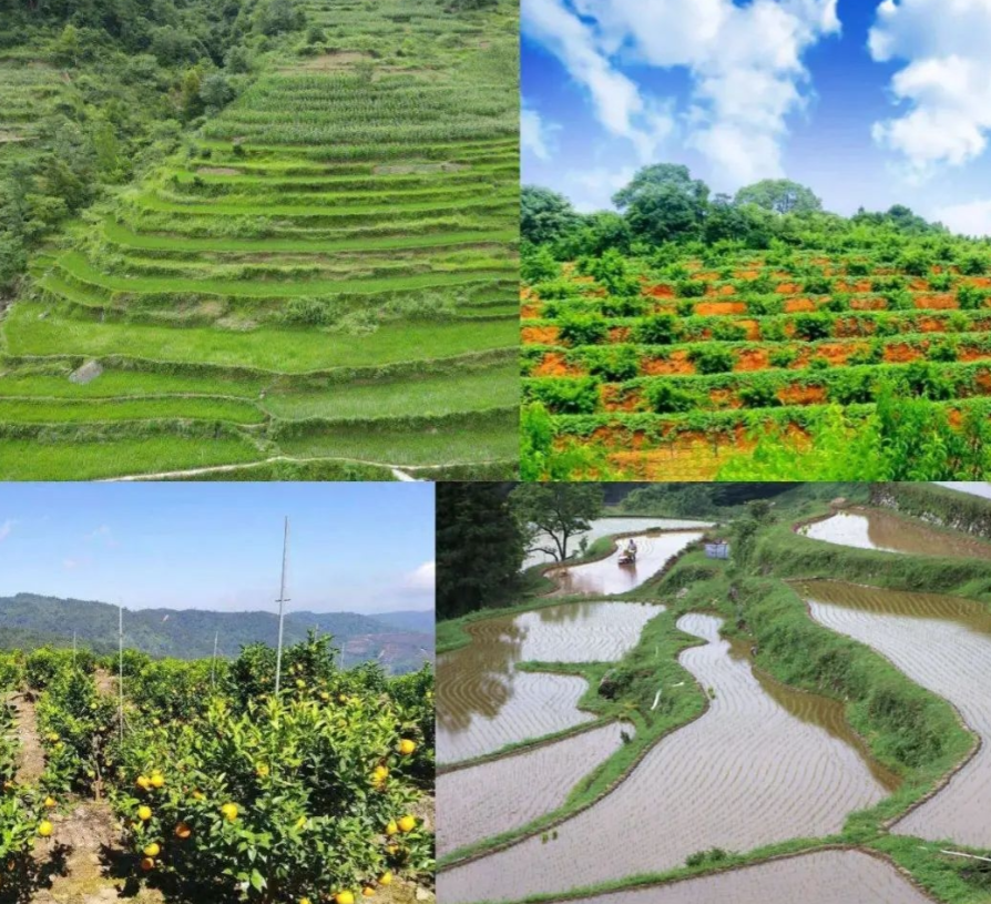應(yīng)用場景