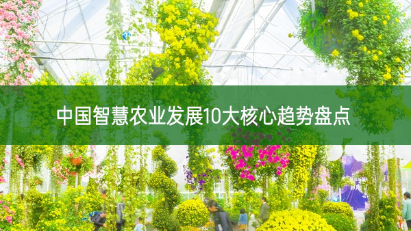中國智慧農(nóng)業(yè)發(fā)展10大核心趨勢盤點