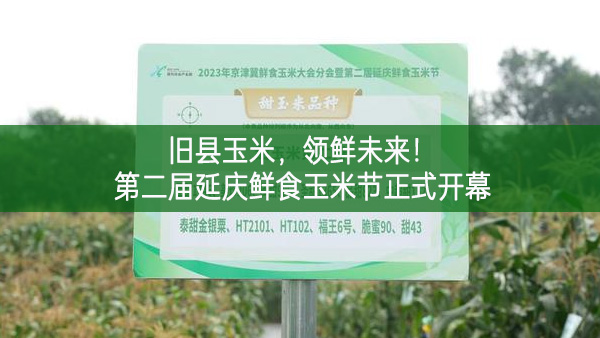 舊縣玉米，領鮮未來！第二屆延慶鮮食玉米節正式開幕