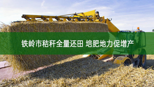 鐵嶺市秸稈全量還田 培肥地力促增產(chǎn)