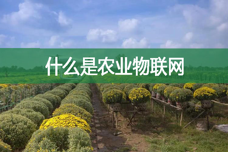 什么是農(nóng)業(yè)物聯(lián)網(wǎng)?