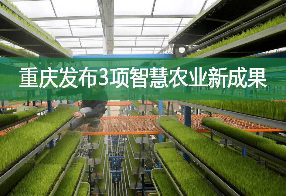 重慶發布3項智慧農業新成果