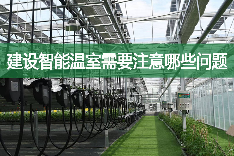 建設(shè)智能溫室需要注意哪些問(wèn)題