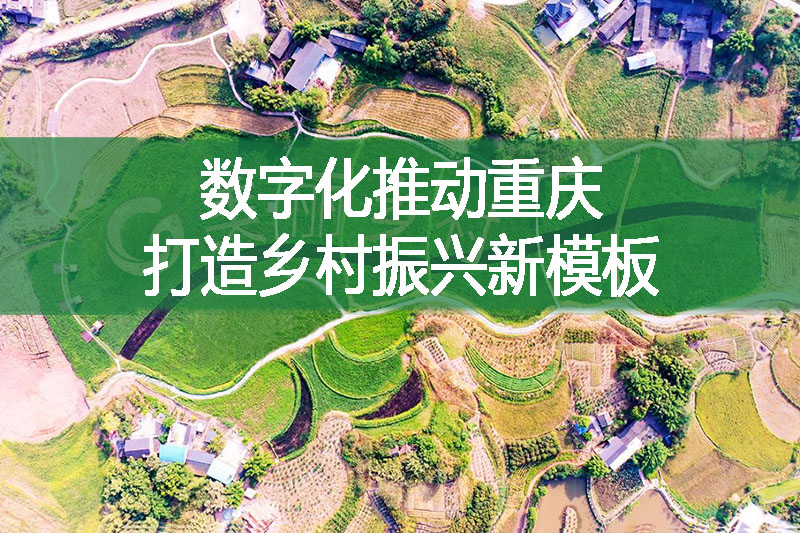 數字化推動重慶打造鄉村振興新模板