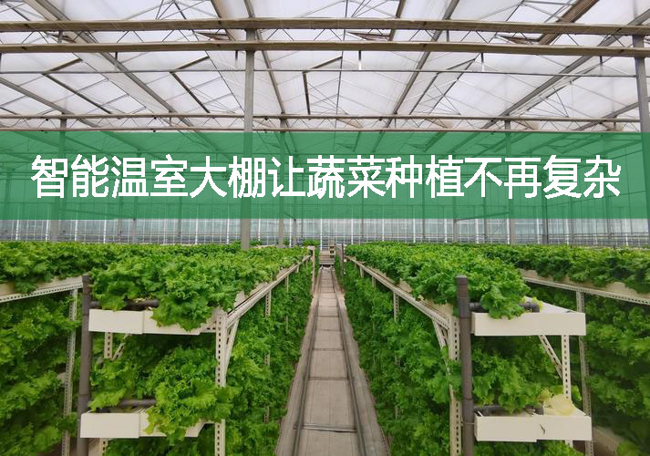 智能溫室大棚讓蔬菜種植不再?gòu)?fù)雜