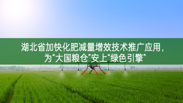 湖北省加快化肥減量增效技術推廣應用，為“大國糧倉”安上“綠色引擎”