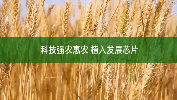科技強農(nóng)惠農(nóng) 植入發(fā)展芯片