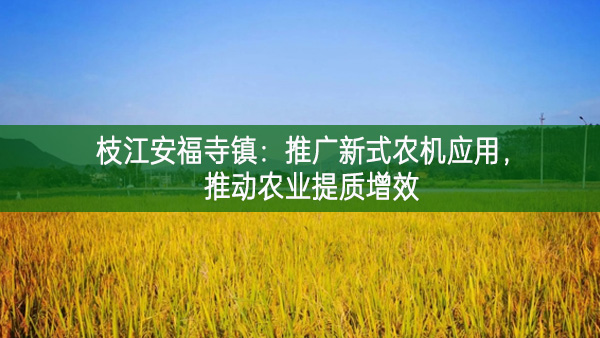 枝江安福寺鎮(zhèn)：推廣新式農(nóng)機應用，推動農(nóng)業(yè)提質(zhì)增效