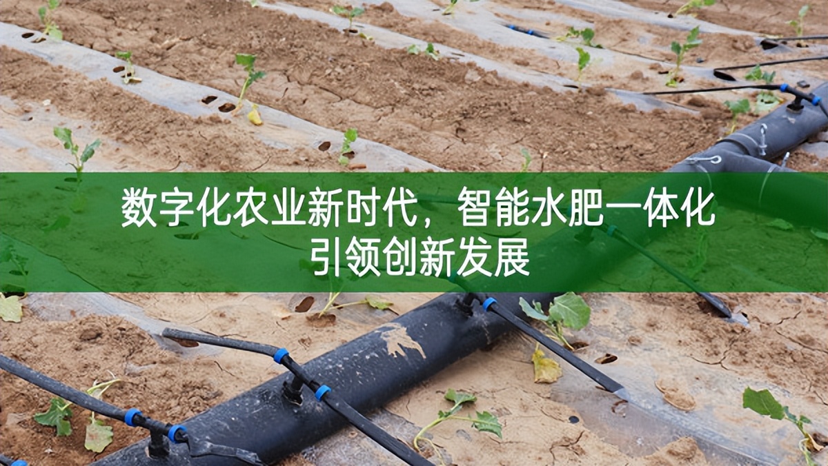 數字化農業新時代，智能水肥一體化引領創新發展
