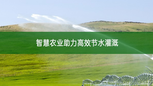 智慧農業助力高效節水灌溉