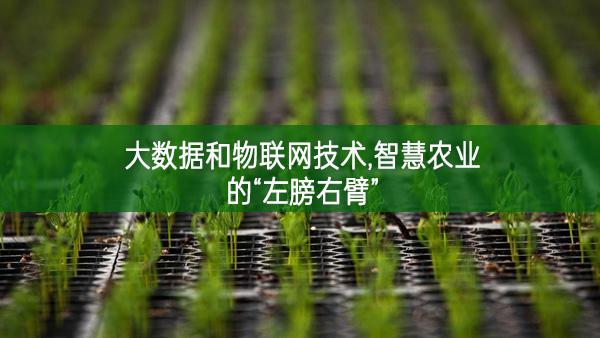 大數據和物聯(lián)網技術，智慧農業(yè)的“左膀右臂”
