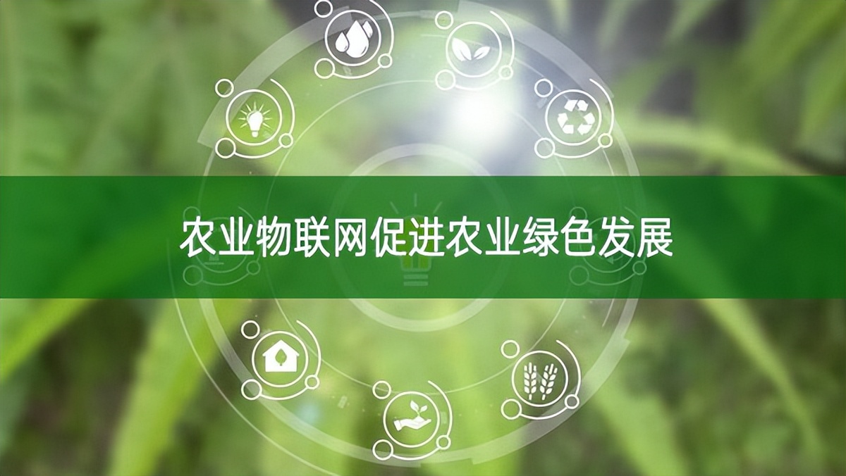 農業(yè)物聯(lián)網促進農業(yè)綠色發(fā)展