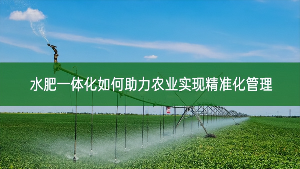 水肥一體化如何助力農業實現精準化管理