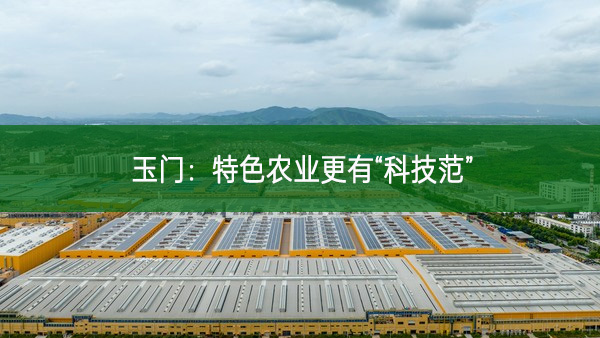 玉門：特色農(nóng)業(yè)更有“科技范”