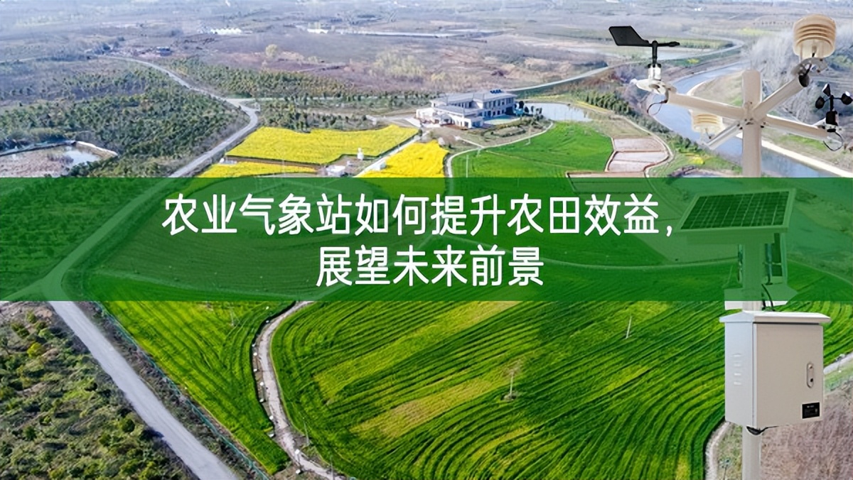 農(nóng)業(yè)氣象站如何提升農(nóng)田效益，展望未來(lái)前景