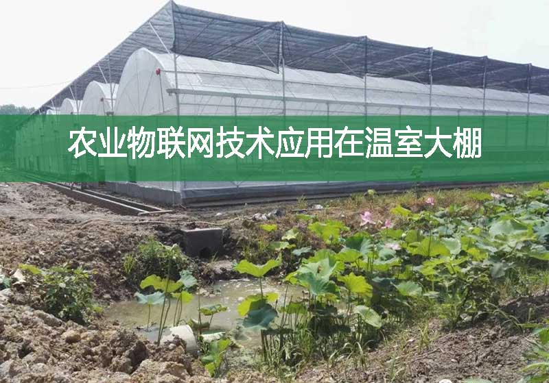 農業(yè)物聯網技術應用在溫室大棚