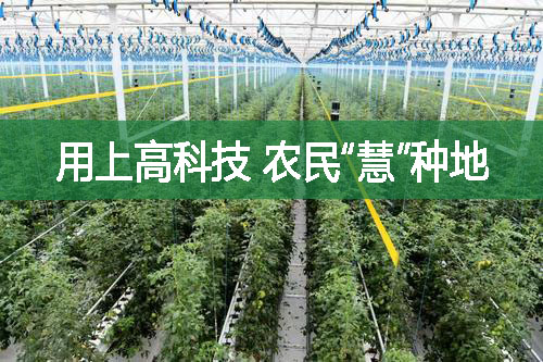 用上高科技，農(nóng)民“慧”種地