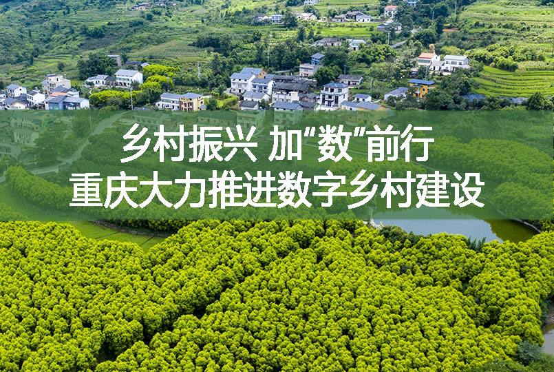 鄉(xiāng)村振興 加“數(shù)”前行 重慶大力推進(jìn)數(shù)字鄉(xiāng)村建設(shè)