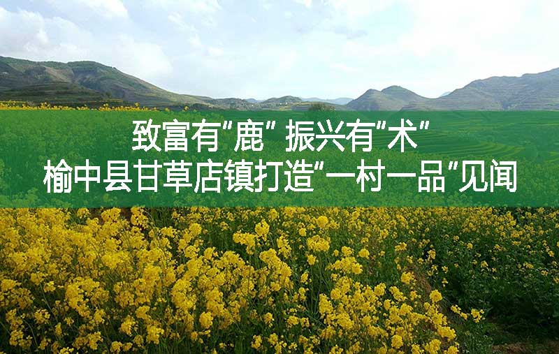 致富有“鹿” 振興有“術(shù)”——榆中縣甘草店鎮(zhèn)打造“一村一品”見聞