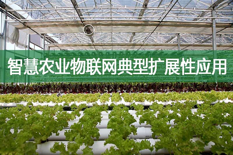 智慧農(nóng)業(yè)物聯(lián)網(wǎng)典型擴(kuò)展性應(yīng)用