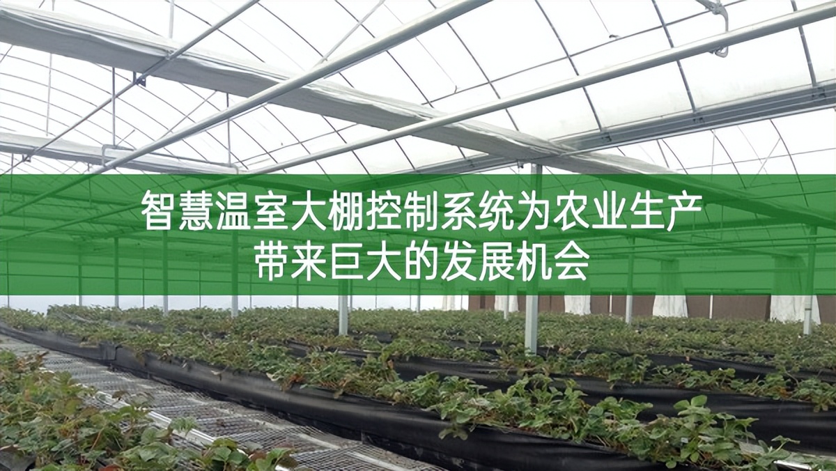 智慧溫室大棚控制系統為農業生產帶來巨大的發展機會