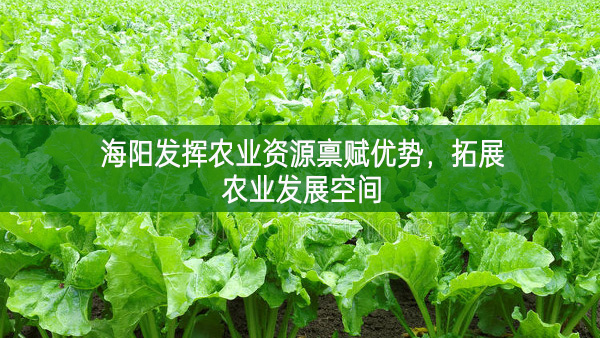 海陽(yáng)發(fā)揮農(nóng)業(yè)資源稟賦優(yōu)勢(shì) 拓展農(nóng)業(yè)發(fā)展空間