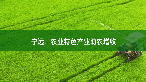 寧遠：農業特色產業助農增收