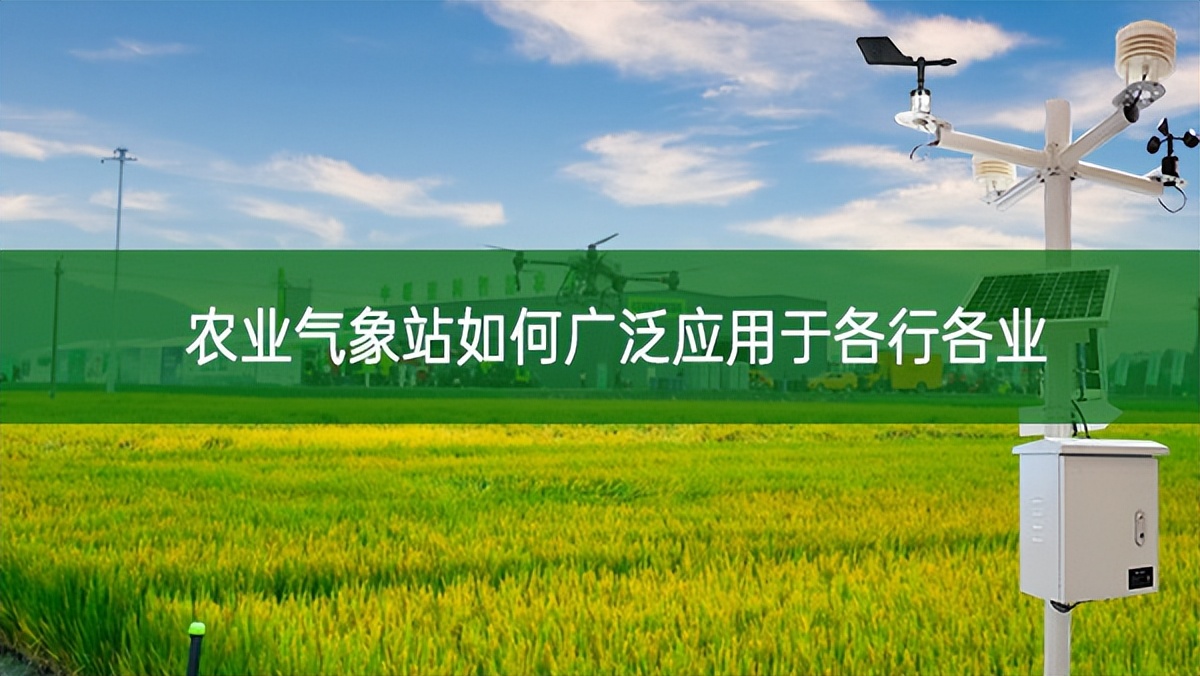 農業(yè)氣象站如何廣泛應用于各行各業(yè)