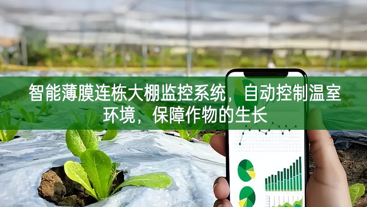 智能薄膜連棟大棚監控系統，自動控制溫室環境，保障作物的生長