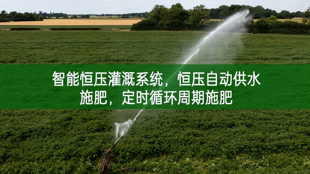 智能恒壓灌溉系統，恒壓自動供水施肥，定時循環周期施肥