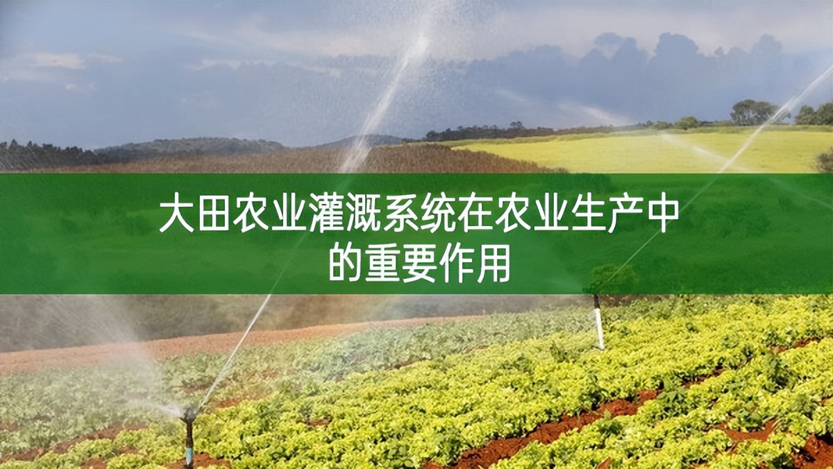 大田農業灌溉系統在農業生產中的重要作用