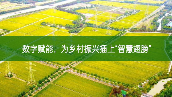 數(shù)字賦能，為鄉(xiāng)村振興插上“智慧翅膀”