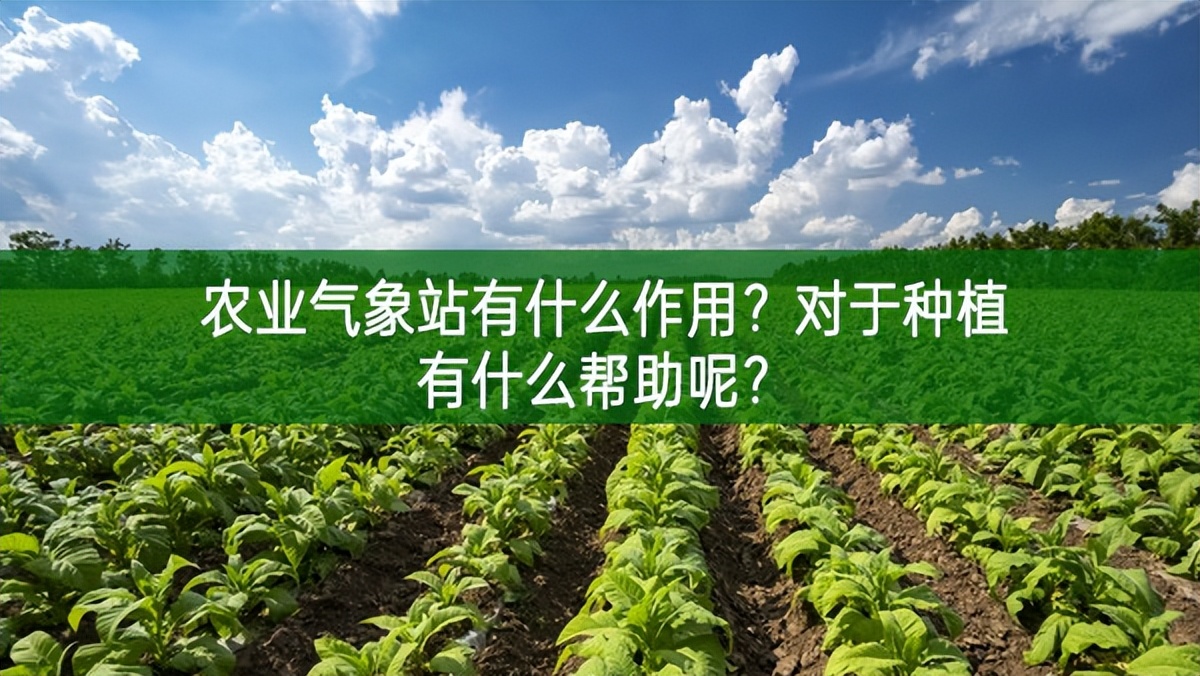 農業(yè)氣象站有什么作用?對于種植有什么幫助呢?