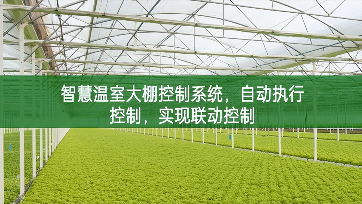 智慧溫室大棚控制系統(tǒng)，自動執(zhí)行控制，實現(xiàn)聯(lián)動控制