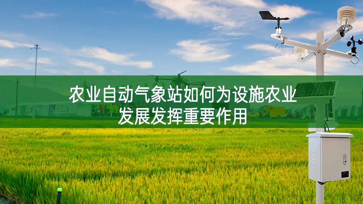 農業(yè)自動氣象站如何為設施農業(yè)發(fā)展發(fā)揮重要作用