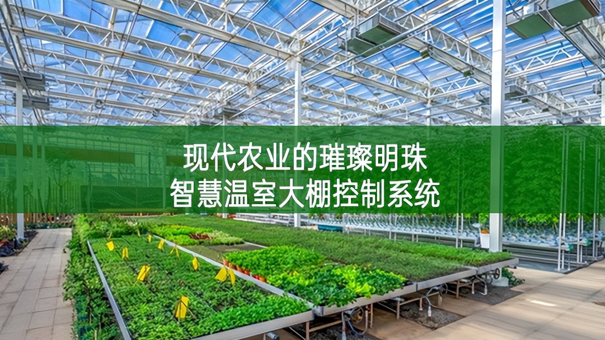現(xiàn)代農業(yè)的璀璨明珠——智慧溫室大棚控制系統(tǒng)