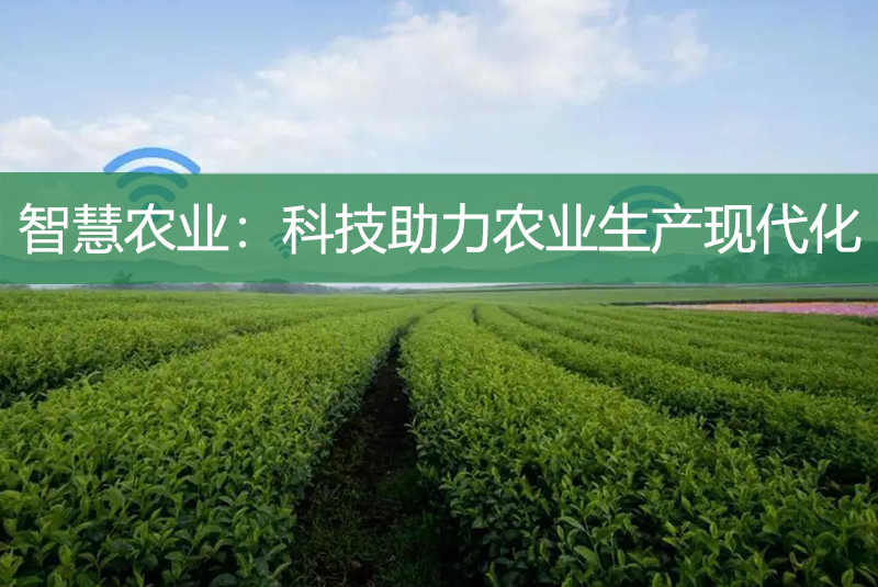 智慧農(nóng)業(yè)：科技助力農(nóng)業(yè)生產(chǎn)現(xiàn)代化