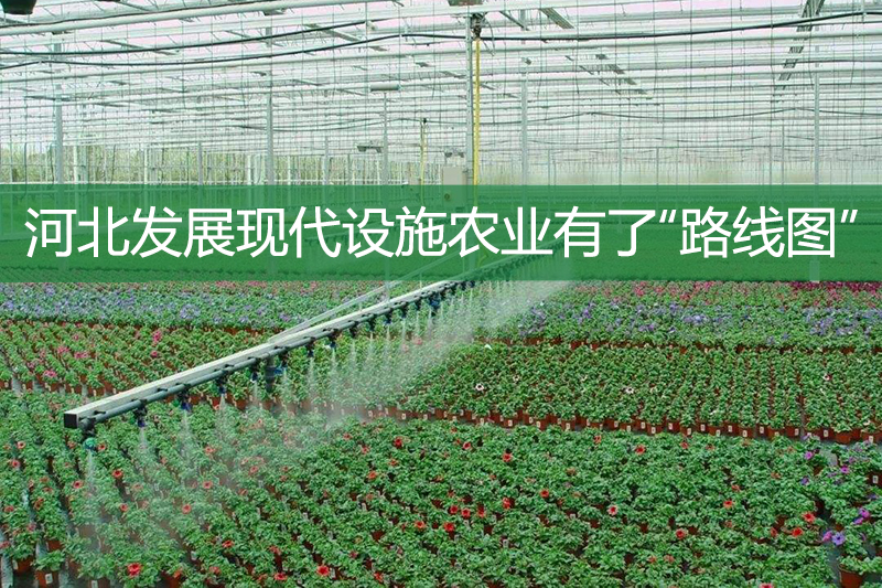 河北發展現代設施農業有了“路線圖”